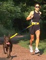 Jog Leash™ / Wonder Leash™